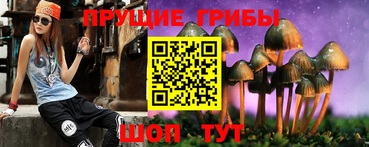 Галлюциногенные грибы мицелий  Вход с VPN  Донской 